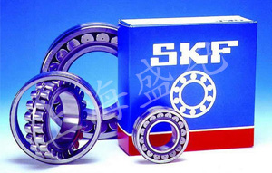 SKFMS